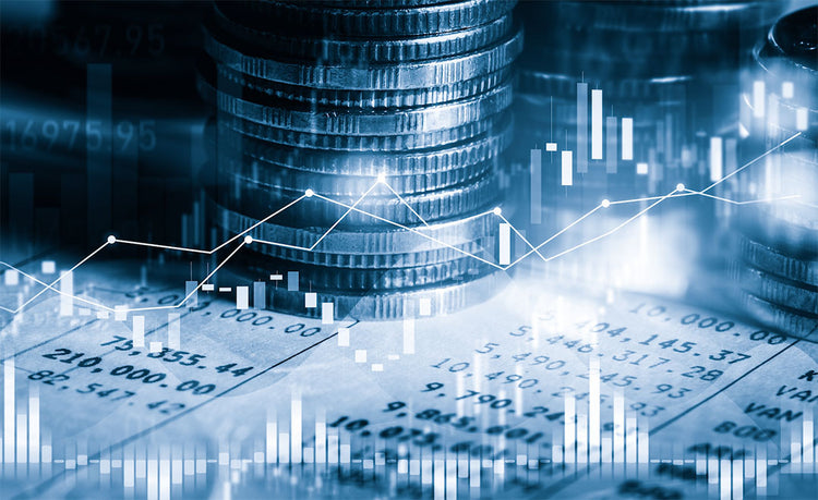 What is Treasury Management? Why is it Important?
