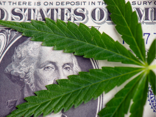 Top 10 Cs of Cannabis Compliance