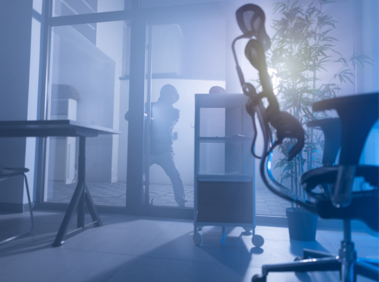 Essentials of Robbery Training