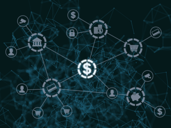 Understanding Payment Networks